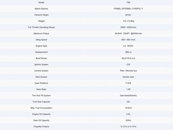 PARSUN 50 HP DIŞTAN TAKMA MOTOR